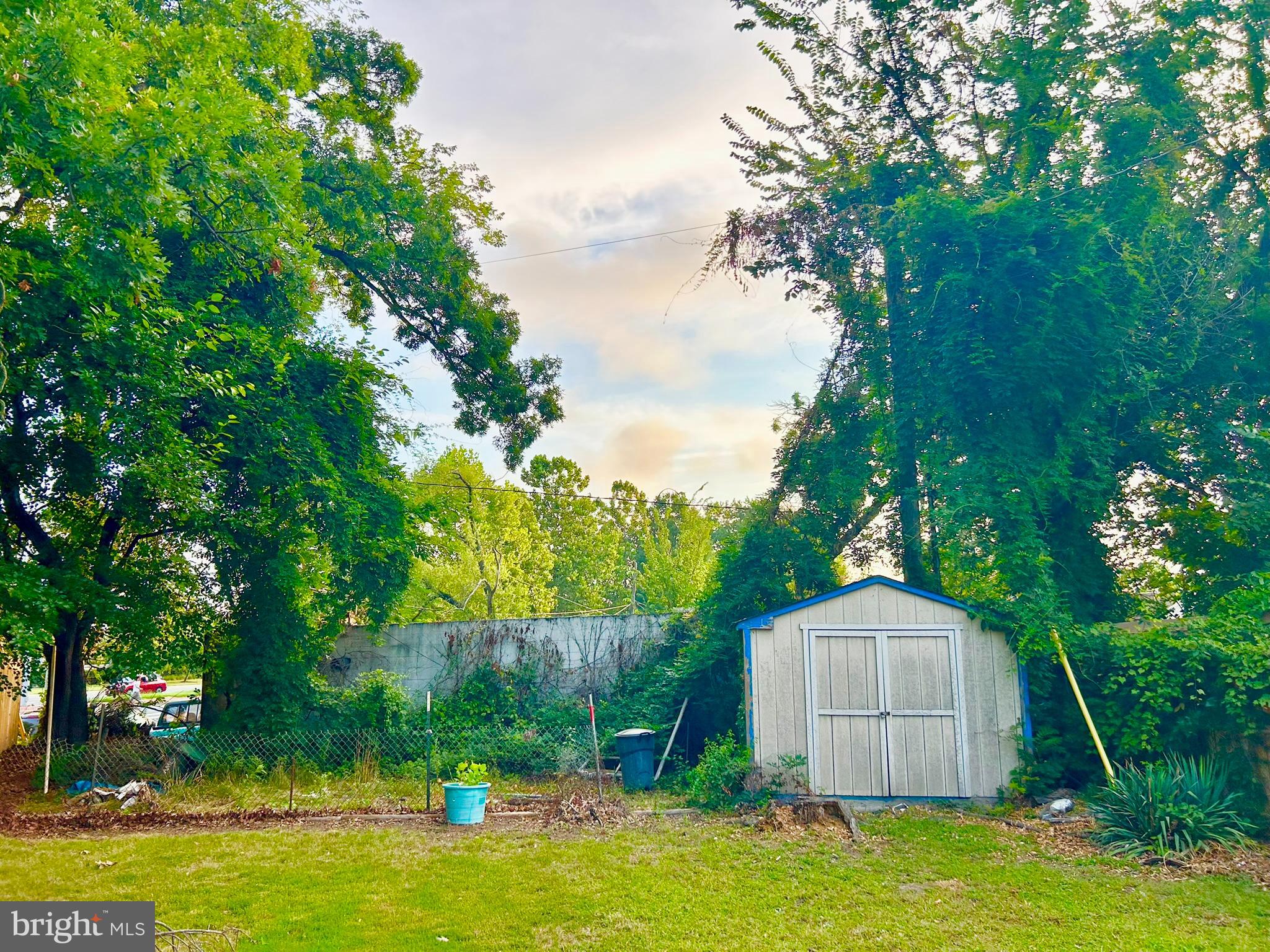 37 Walkern Road Baltimore, MD 21221 - Photo 26 of 41 a view of a backyard with plants and a large tree