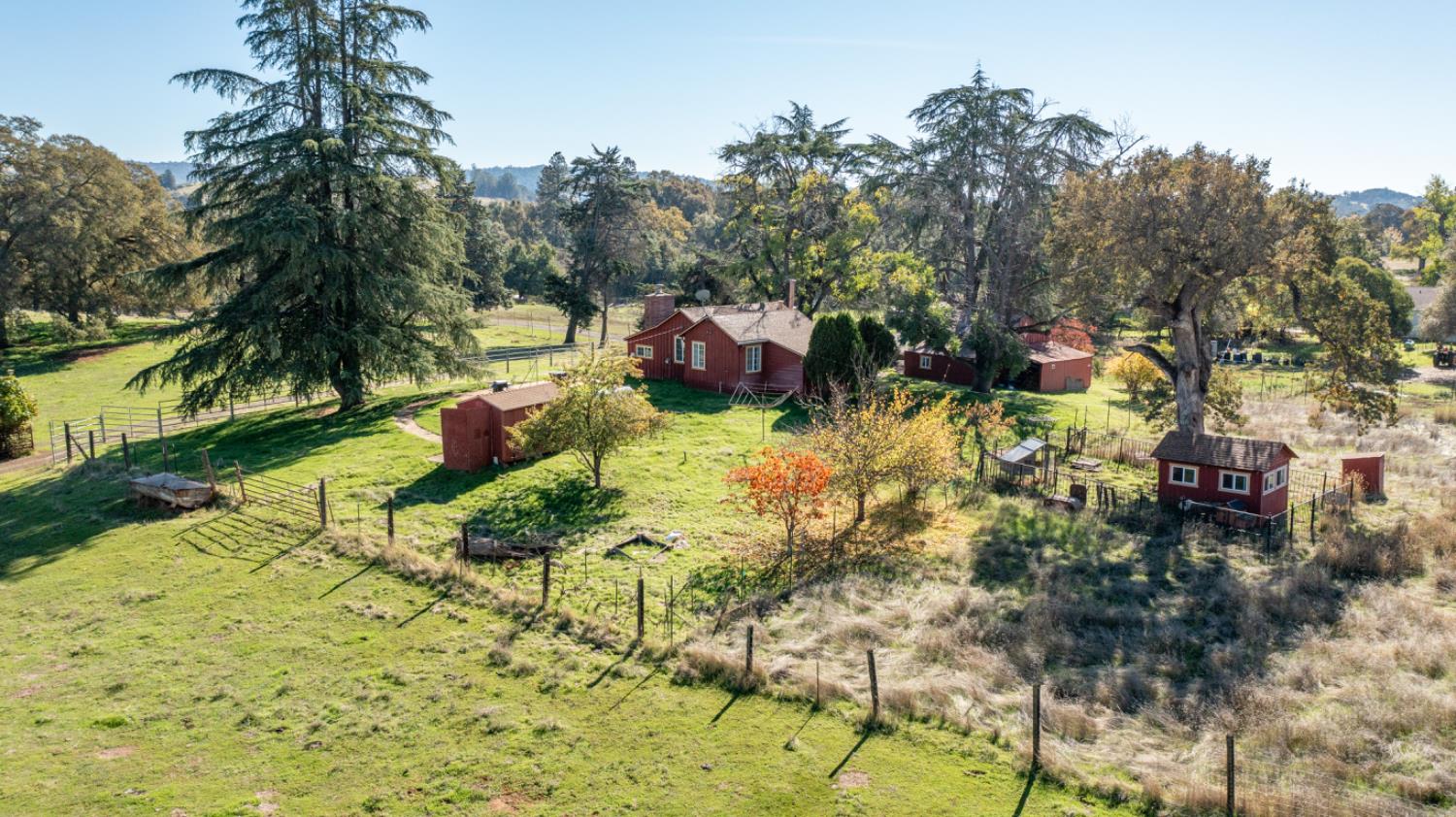 5700 Semor Drive Shingle Springs, CA 95682 - Photo 3 of 92 a view of yard with green space