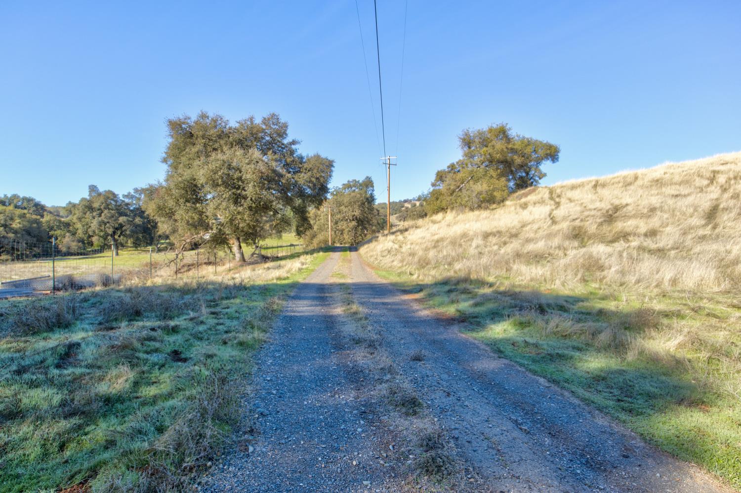 5700 Semor Drive Shingle Springs, CA 95682 - Photo 32 of 92 a view of a yard with a tree