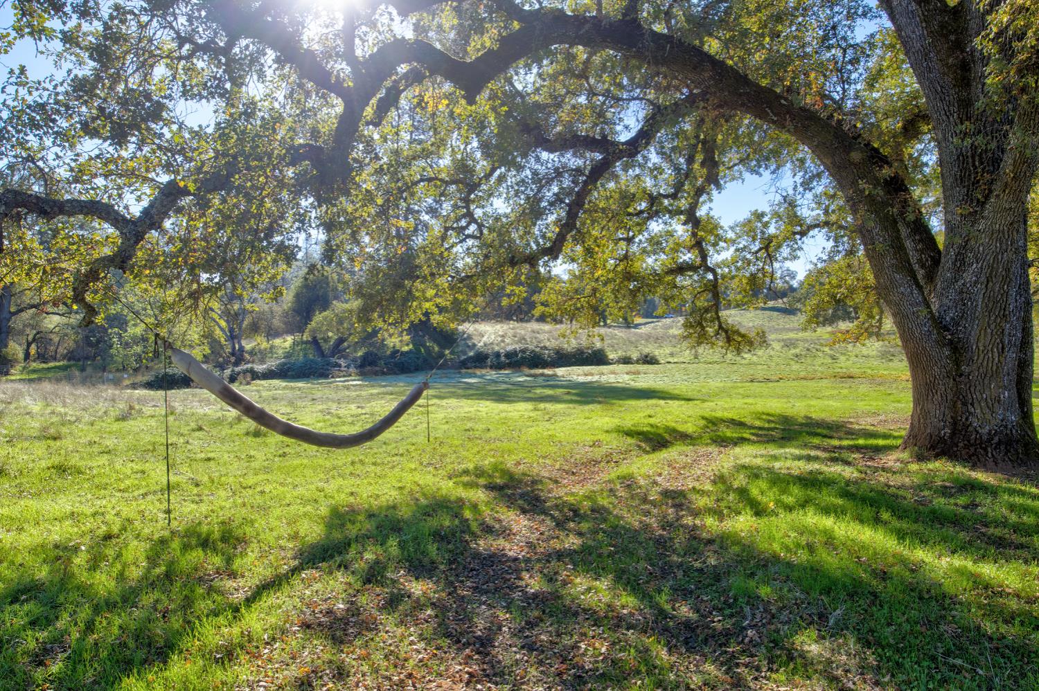 5700 Semor Drive Shingle Springs, CA 95682 - Photo 46 of 92 a view of a swimming pool