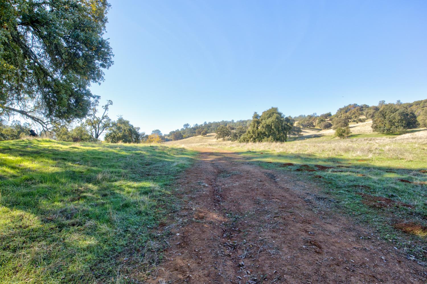5700 Semor Drive Shingle Springs, CA 95682 - Photo 53 of 92 a view of beach and yard