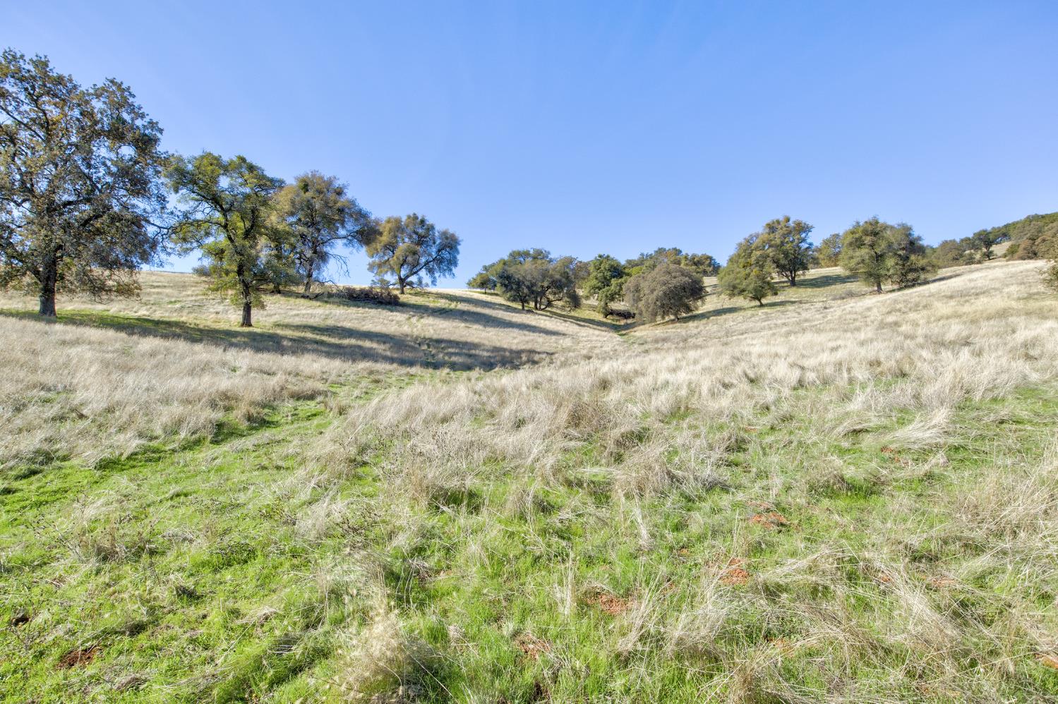 5700 Semor Drive Shingle Springs, CA 95682 - Photo 55 of 92