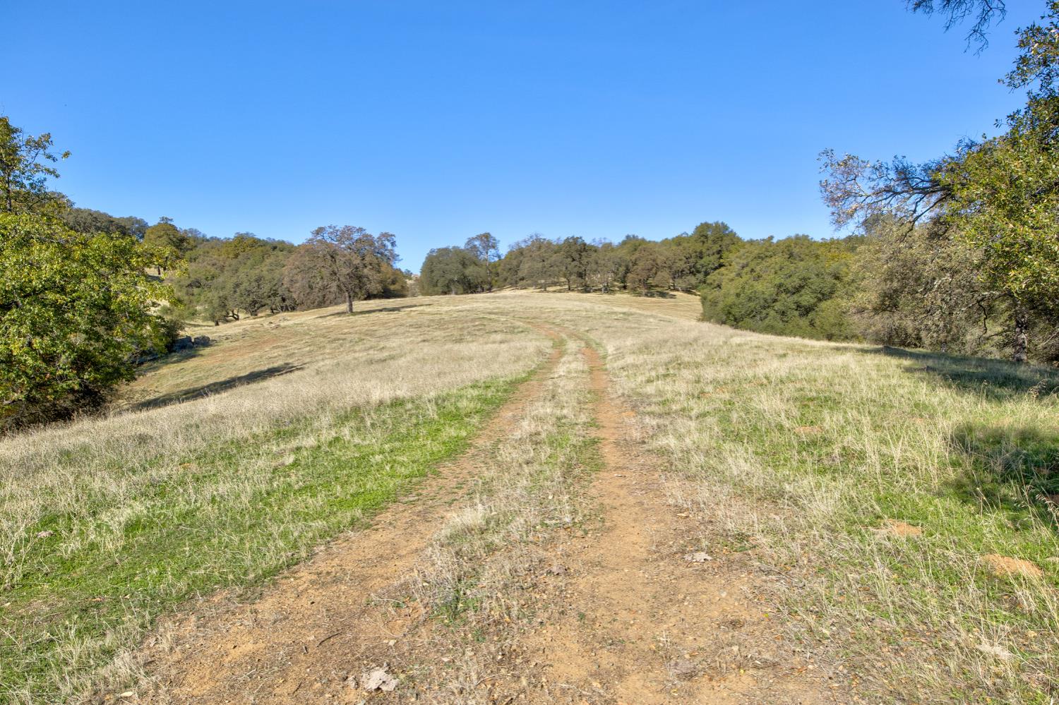5700 Semor Drive Shingle Springs, CA 95682 - Photo 60 of 92 a view of a yard with an outdoor space
