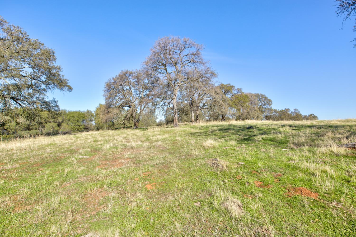 5700 Semor Drive Shingle Springs, CA 95682 - Photo 61 of 92