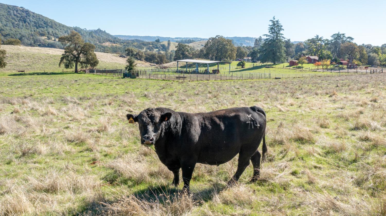 5700 Semor Drive Shingle Springs, CA 95682 - Photo 64 of 92