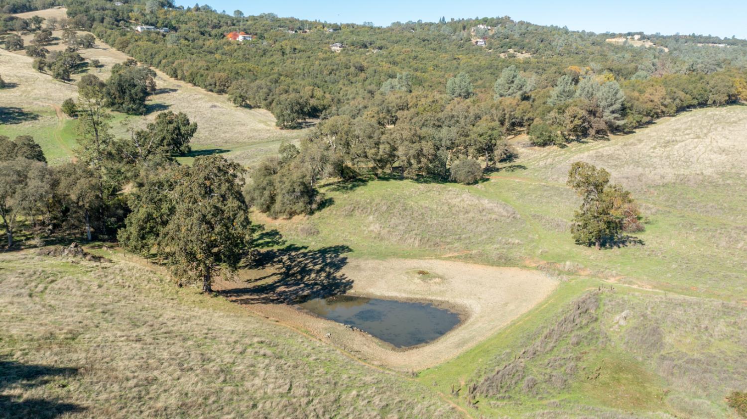 5700 Semor Drive Shingle Springs, CA 95682 - Photo 74 of 92 a view of a yard with a sink