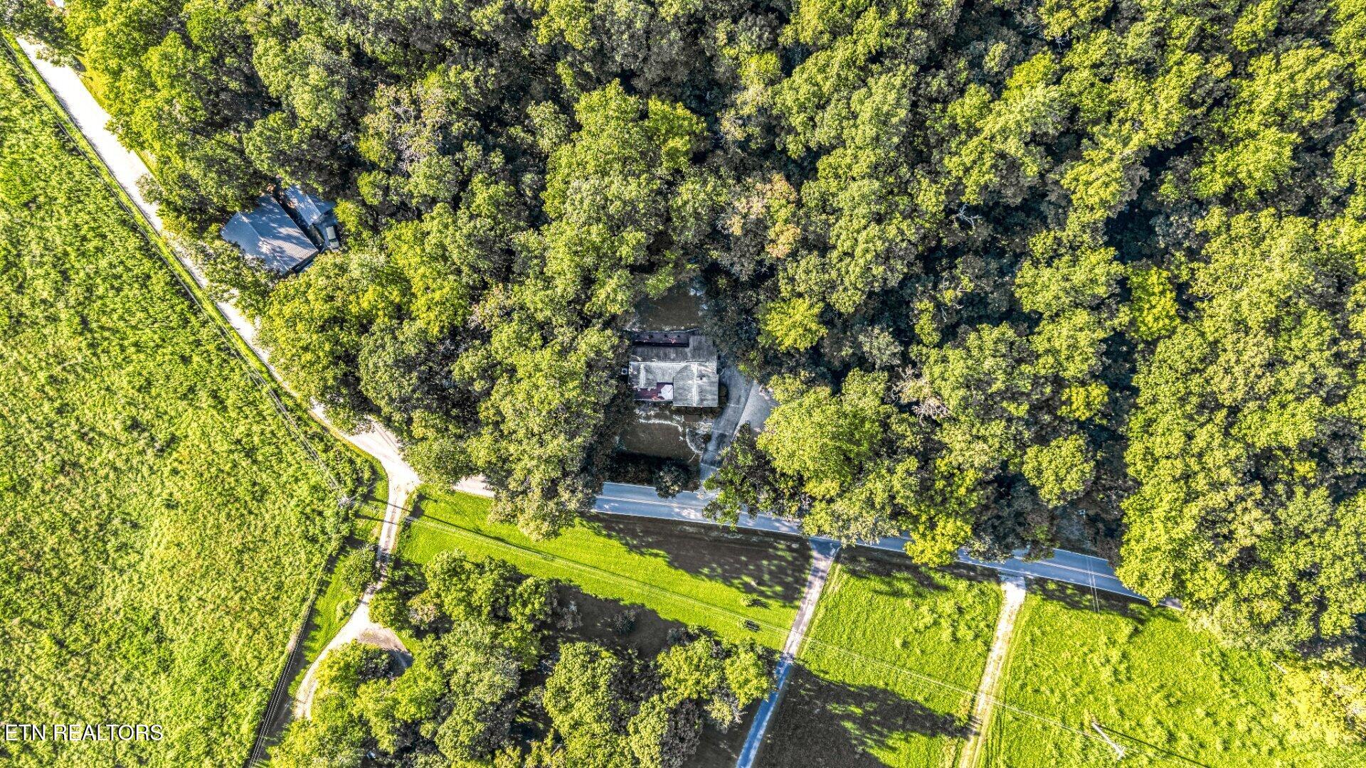 733 Cavern Road Townsend, TN 37882 - Photo 52 of 53 photo_014