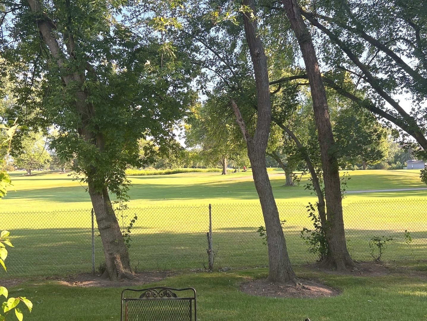 744 Old Checker Road Buffalo Grove, IL 60089 - Photo 4 of 4 a view of lake view