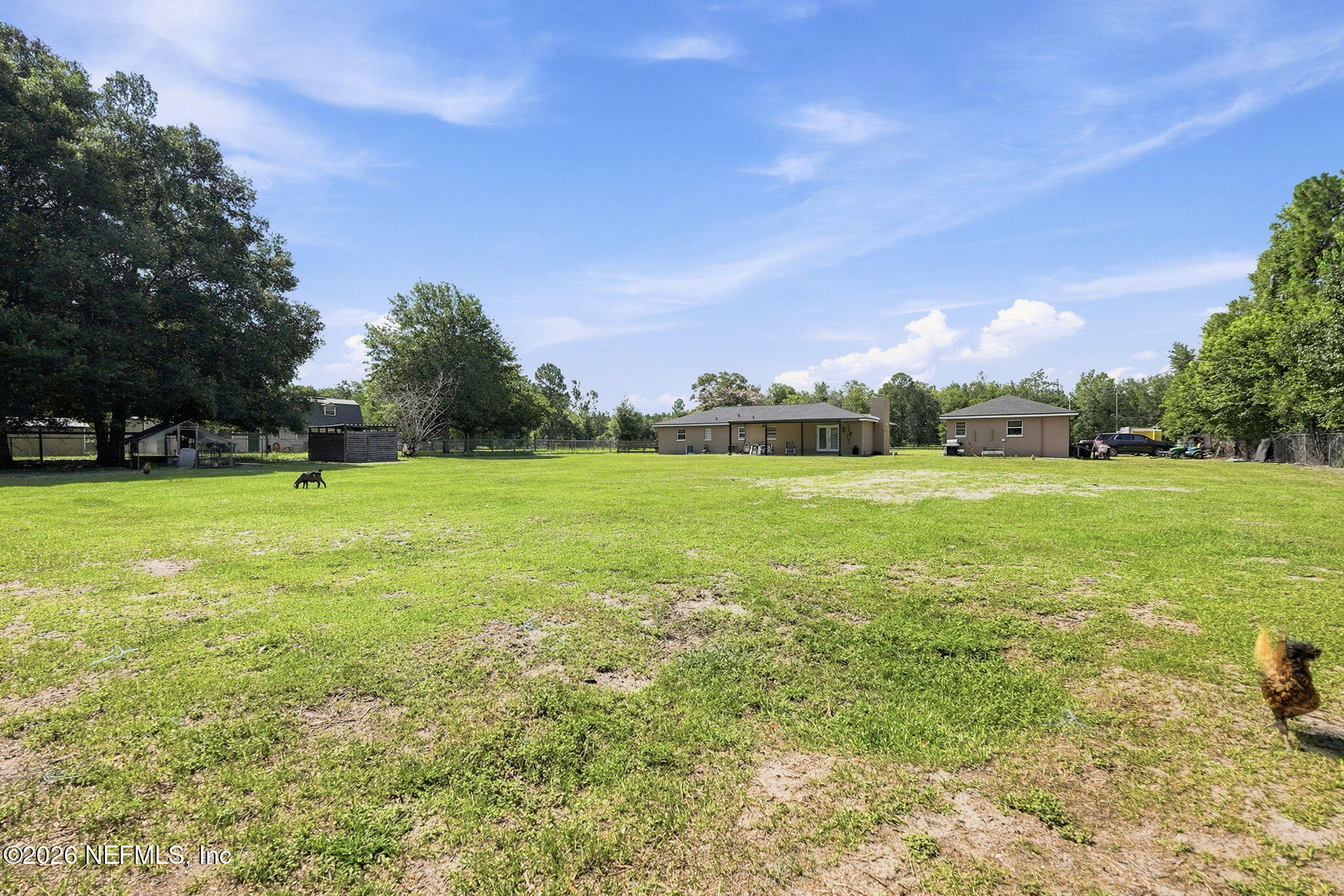 5684 Maverick Road Middleburg, FL 32068 - Photo 28 of 28 backyard2