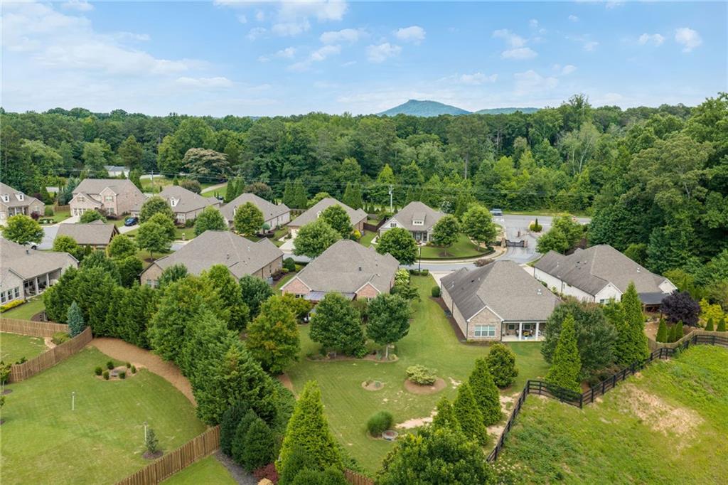 4735 Amble Trace Cumming, GA 30040 - Photo 67 of 73 an aerial view of residential house with outdoor space and street view