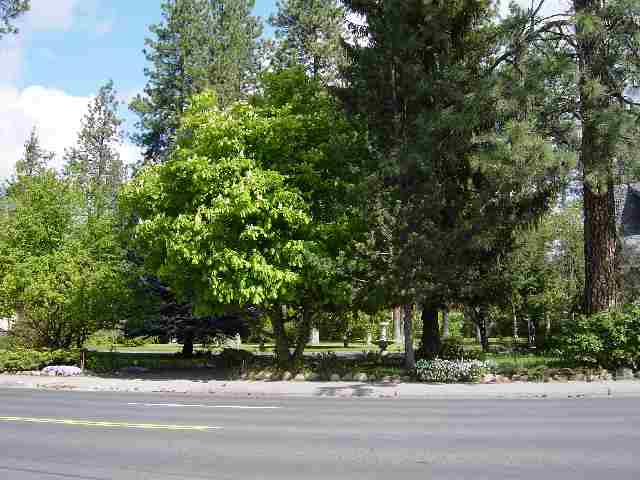 118 West Hawthorne Road Spokane, WA 99218 - Photo 4 of 5