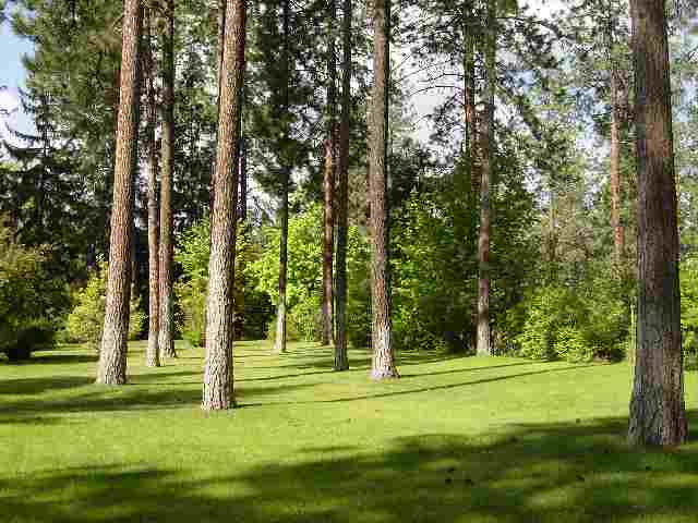 118 West Hawthorne Road Spokane, WA 99218 - Photo 5 of 5