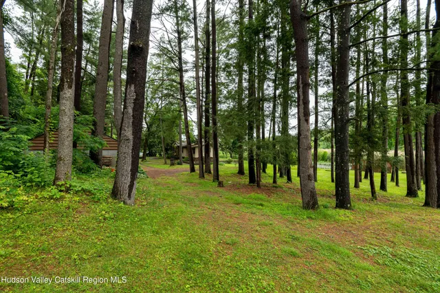 a big yard with trees