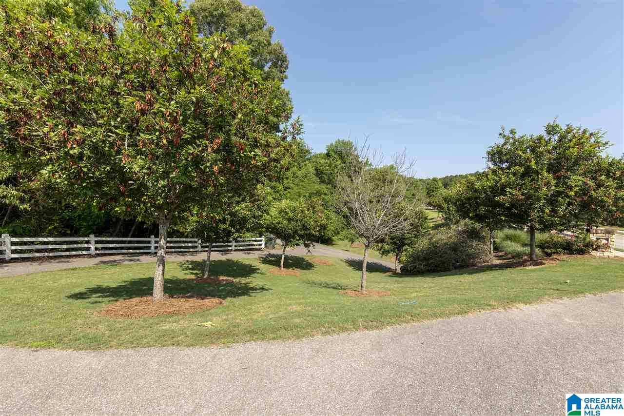 233 Appleford Road Helena, AL 35080 - Photo 42 of 46