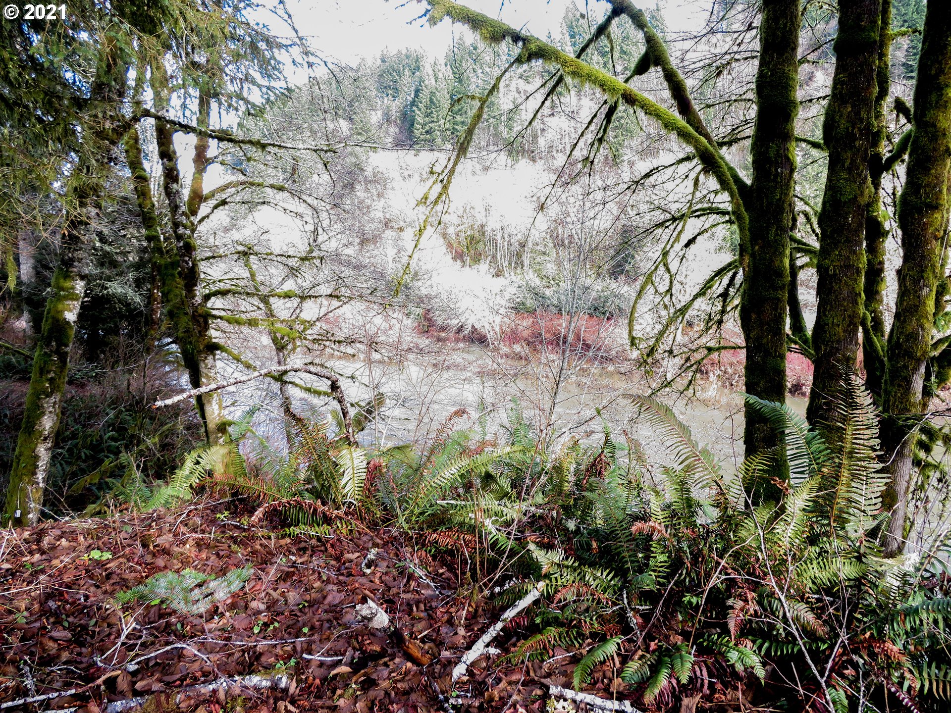 80505 Sha-NE-Mah Road Seaside, OR 97138 - Photo 22 of 22