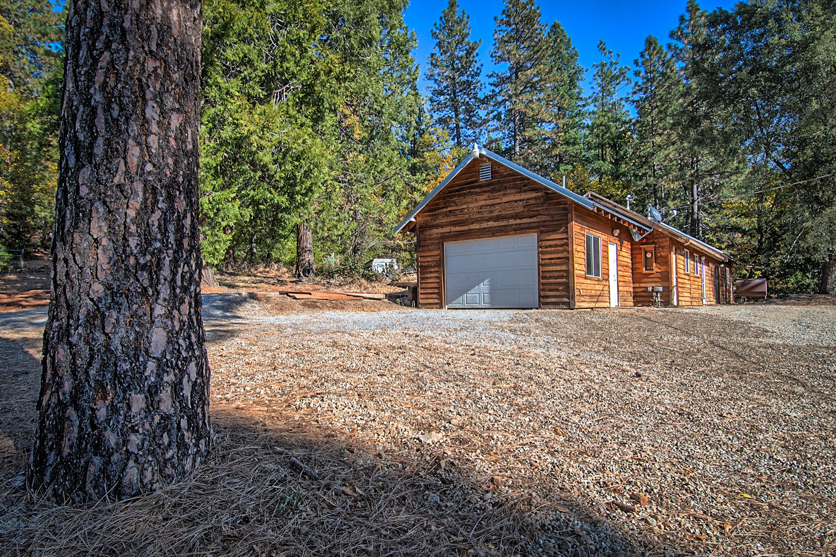 14681 Fern Road Whitmore, CA 96096 - Photo 2 of 37 a large tree in front of a house with a trees