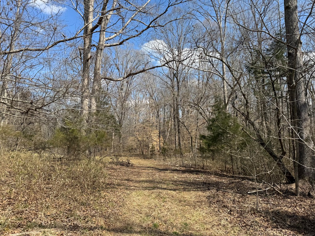 22 Stone Gate Farm Road Donalds, SC 29638 - Photo 7 of 26