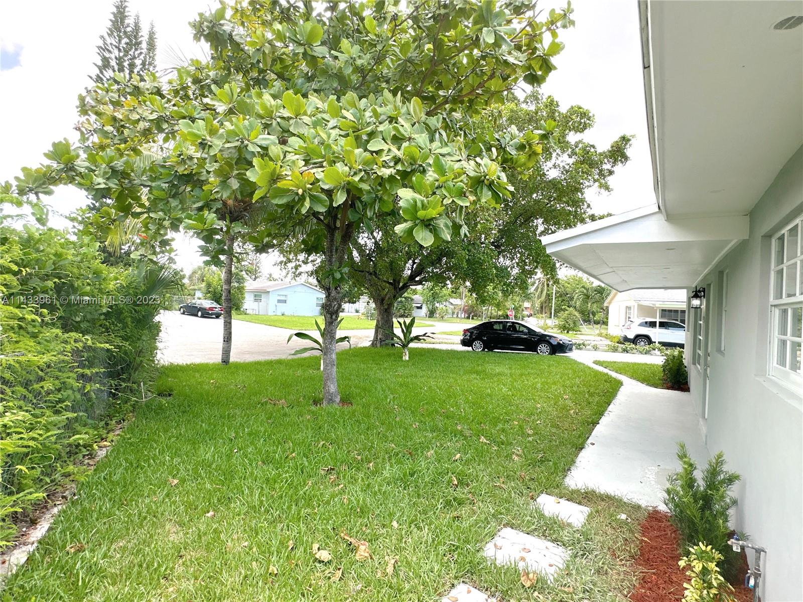 1460 Southwest 3rd Terrace Deerfield Beach, FL 33441 - Photo 99 of 100 a view of a yard with plants and large trees