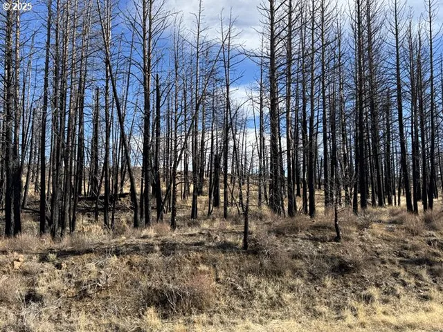 a view of a lake with houses in the back