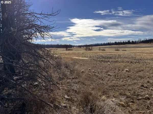 $13,000 | Yellow Pine Road, Unit 13, Bly, OR 97622