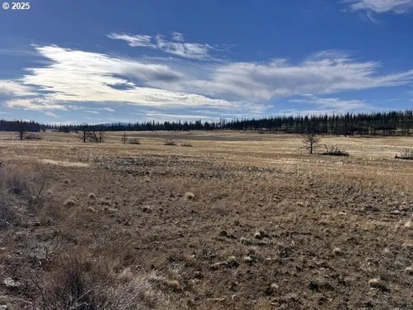 $13,000 | Yellow Pine Road, Unit 13, Bly, OR 97622