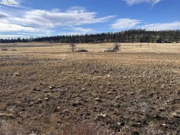 $13,000 | Yellow Pine Road, Unit 13, Bly, OR 97622