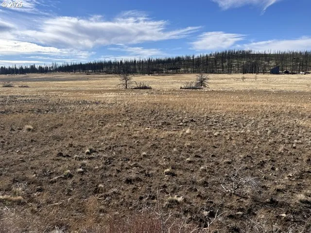 a view of outdoor space with trees