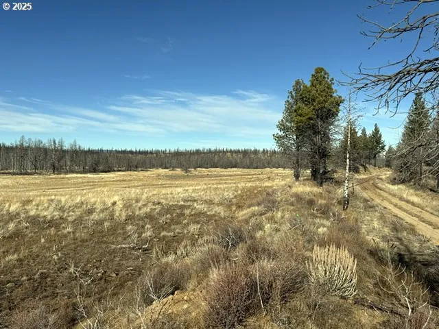 a view of sink and trees