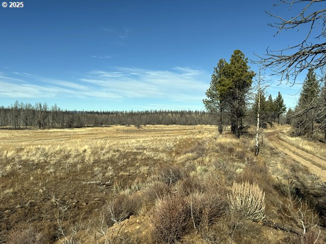 Yellow Pine Road, Unit 13 Bly, OR 97622 - Photo 16 of 39 a view of outdoor space and yard