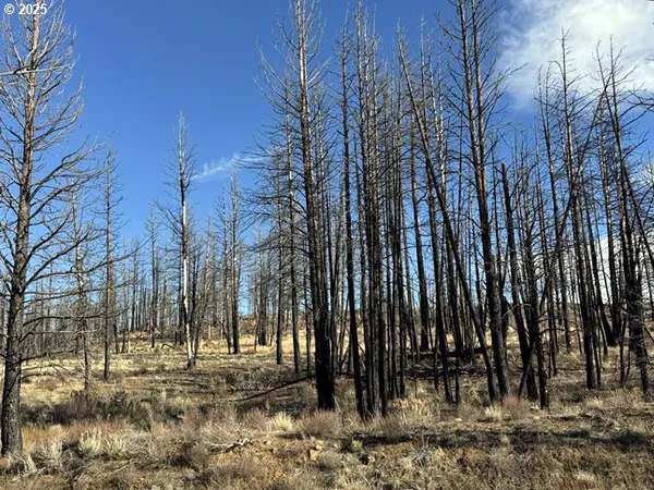 $13,000 | Yellow Pine Road, Unit 13, Bly, OR 97622