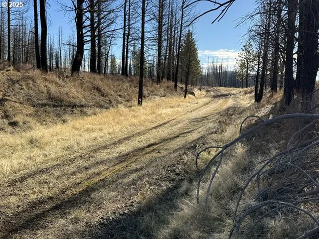 a view of outdoor space with trees