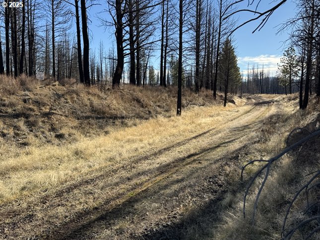 Yellow Pine Road, Unit 13 Bly, OR 97622 - Photo 20 of 39 a view of road and trees