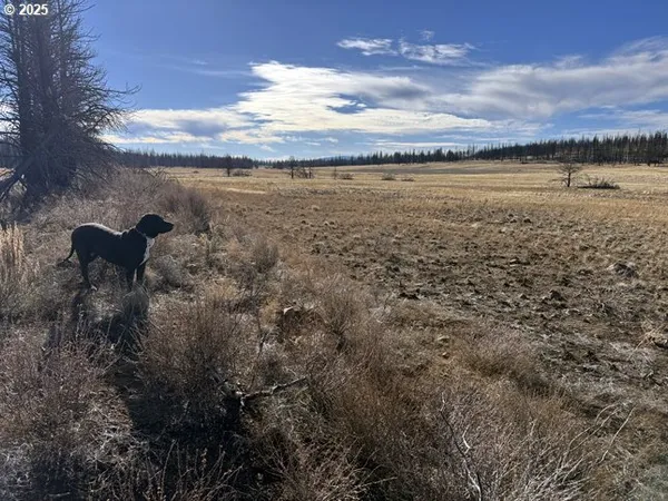 $13,000 | Yellow Pine Road, Unit 13, Bly, OR 97622