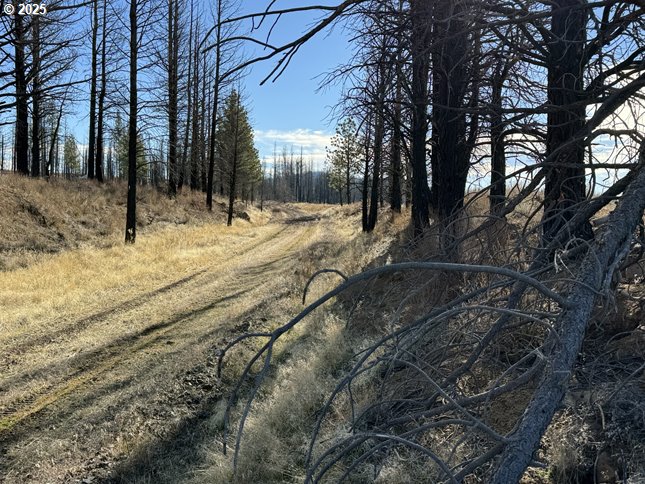Yellow Pine Road, Unit 13 Bly, OR 97622 - Photo 21 of 39 a view of a yard with snow on the road