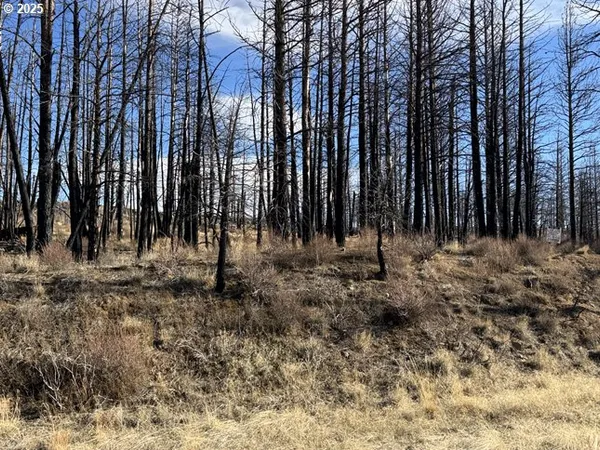 $13,000 | Yellow Pine Road, Unit 13, Bly, OR 97622