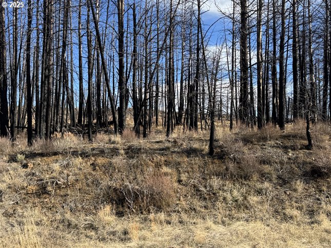 Yellow Pine Road, Unit 13 Bly, OR 97622 - Photo 23 of 39 a view of outdoor space with trees