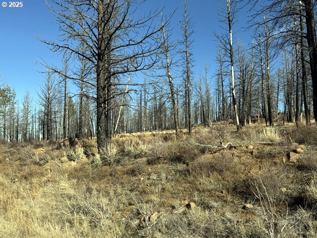 Yellow Pine Road, Unit 13 Bly, OR 97622 - Photo 25 of 39 a view of covered with snow