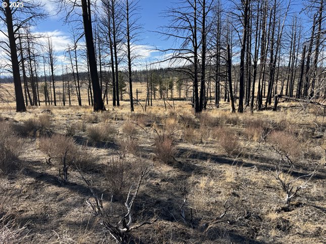 Yellow Pine Road, Unit 13 Bly, OR 97622 - Photo 28 of 39 a view of outdoor space with lots of trees