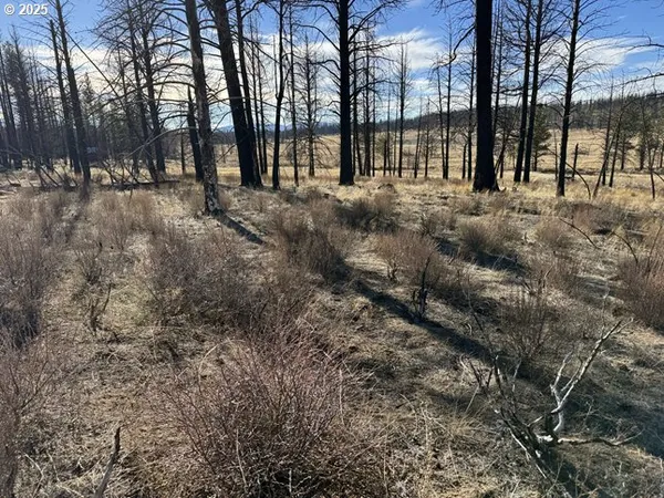 $13,000 | Yellow Pine Road, Unit 13, Bly, OR 97622