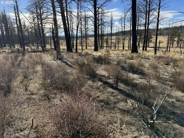 a view of outdoor space with trees