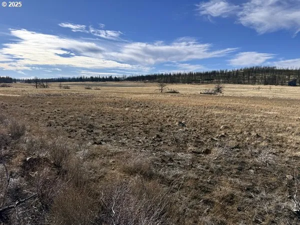 $13,000 | Yellow Pine Road, Unit 13, Bly, OR 97622