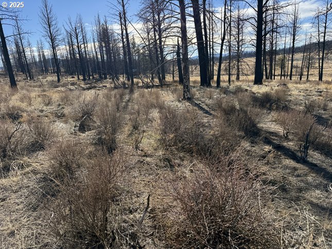 Yellow Pine Road, Unit 13 Bly, OR 97622 - Photo 31 of 39