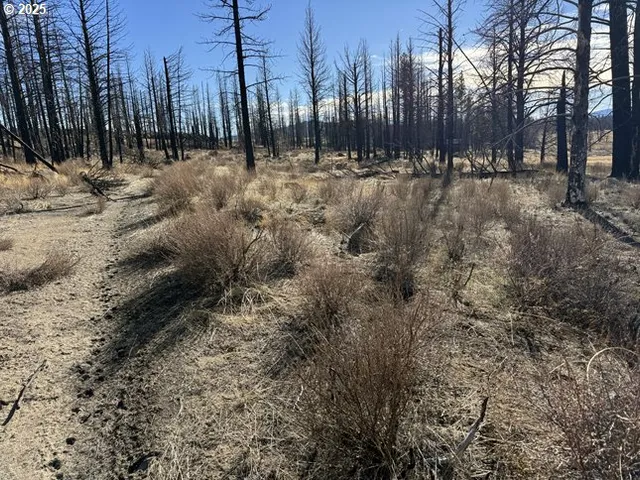 a view of house with trees in the background