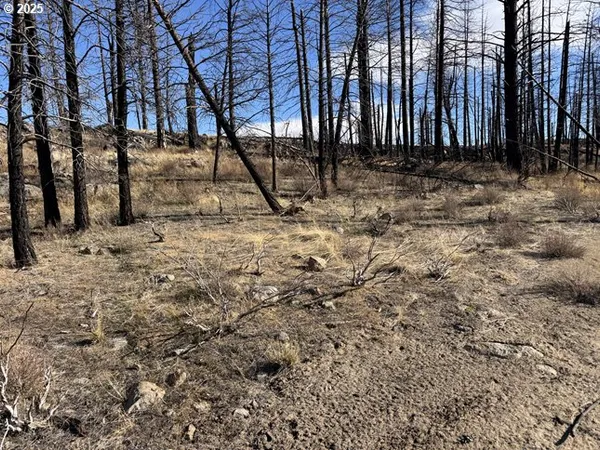 $13,000 | Yellow Pine Road, Unit 13, Bly, OR 97622