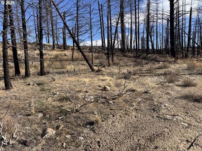Yellow Pine Road, Unit 13 Bly, OR 97622 - Photo 33 of 39 a view of park