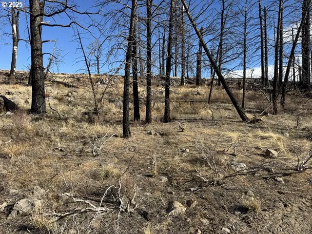 a view of road with trees
