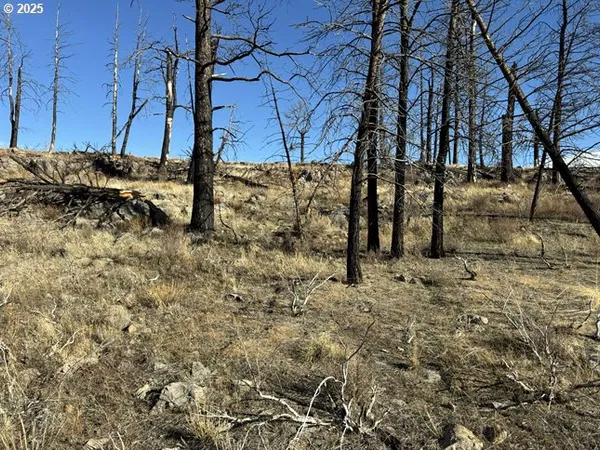 $13,000 | Yellow Pine Road, Unit 13, Bly, OR 97622