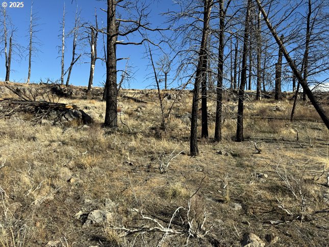 Yellow Pine Road, Unit 13 Bly, OR 97622 - Photo 35 of 39 a view of a yard next to a building