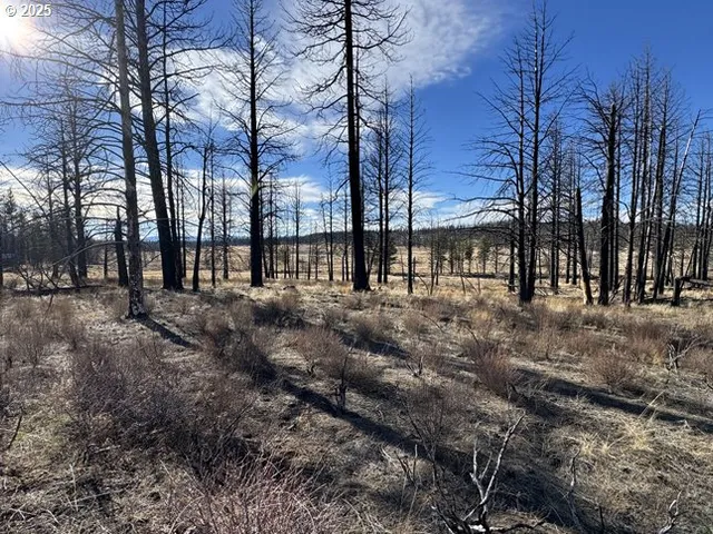 $13,000 | Yellow Pine Road, Unit 13, Bly, OR 97622