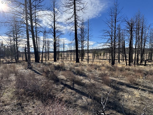 Yellow Pine Road, Unit 13 Bly, OR 97622 - Photo 36 of 39 a view of house with trees in the background